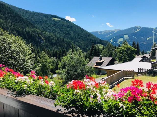 Zirben Apartmán *